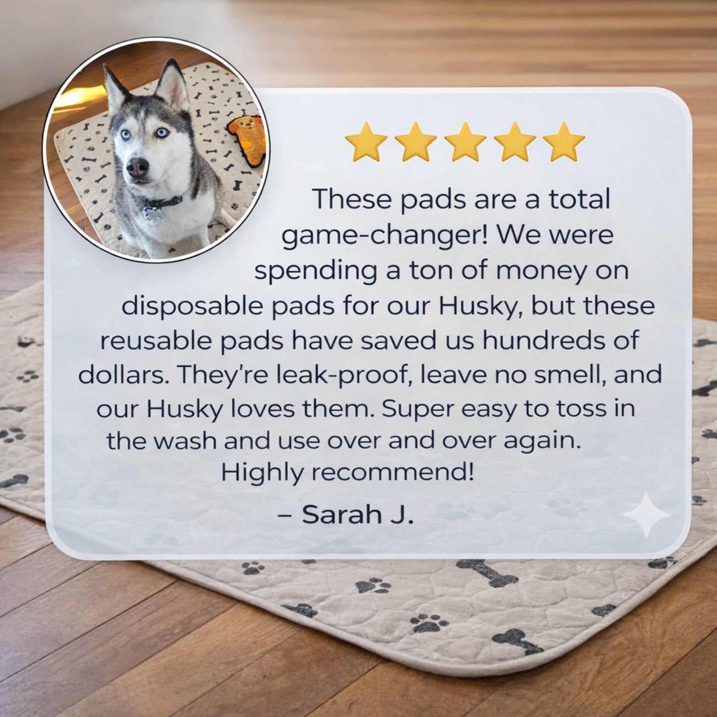 PadPro™ The #1 Pet Peeing Solution