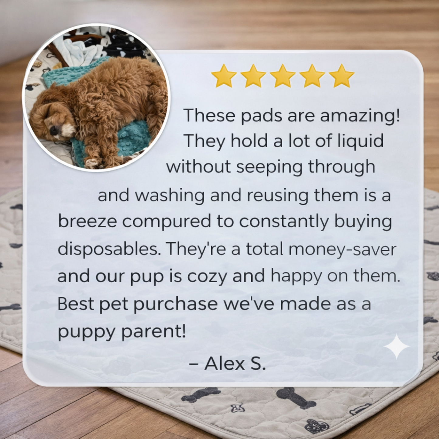 PadPro™ The #1 Pet Peeing Solution