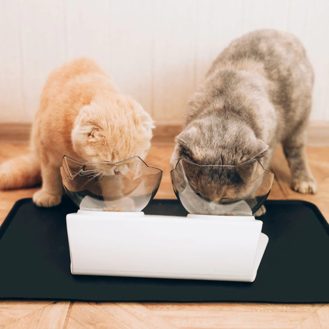 MeowBowl Orthopedic Anti-Vomiting Cat Feeder