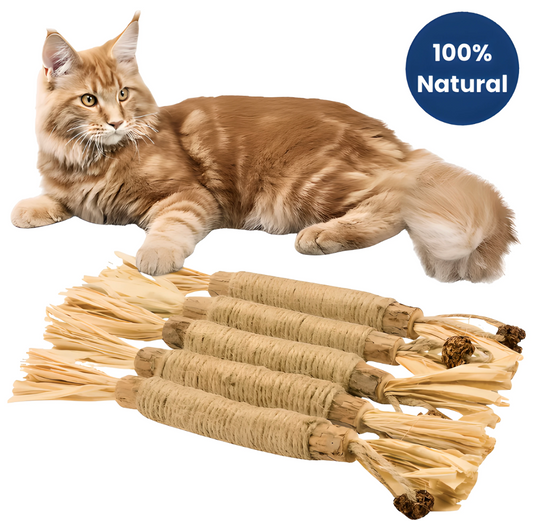 AncestralBite Natural Silvervine Dental Sticks