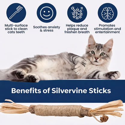 AncestralBite Natural Silvervine Dental Sticks